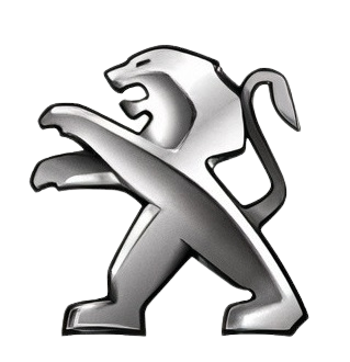 لوگو پژو - تعمیر فرمان هیدرولیک و پمپ هیدرولیک | ستاهیدرو